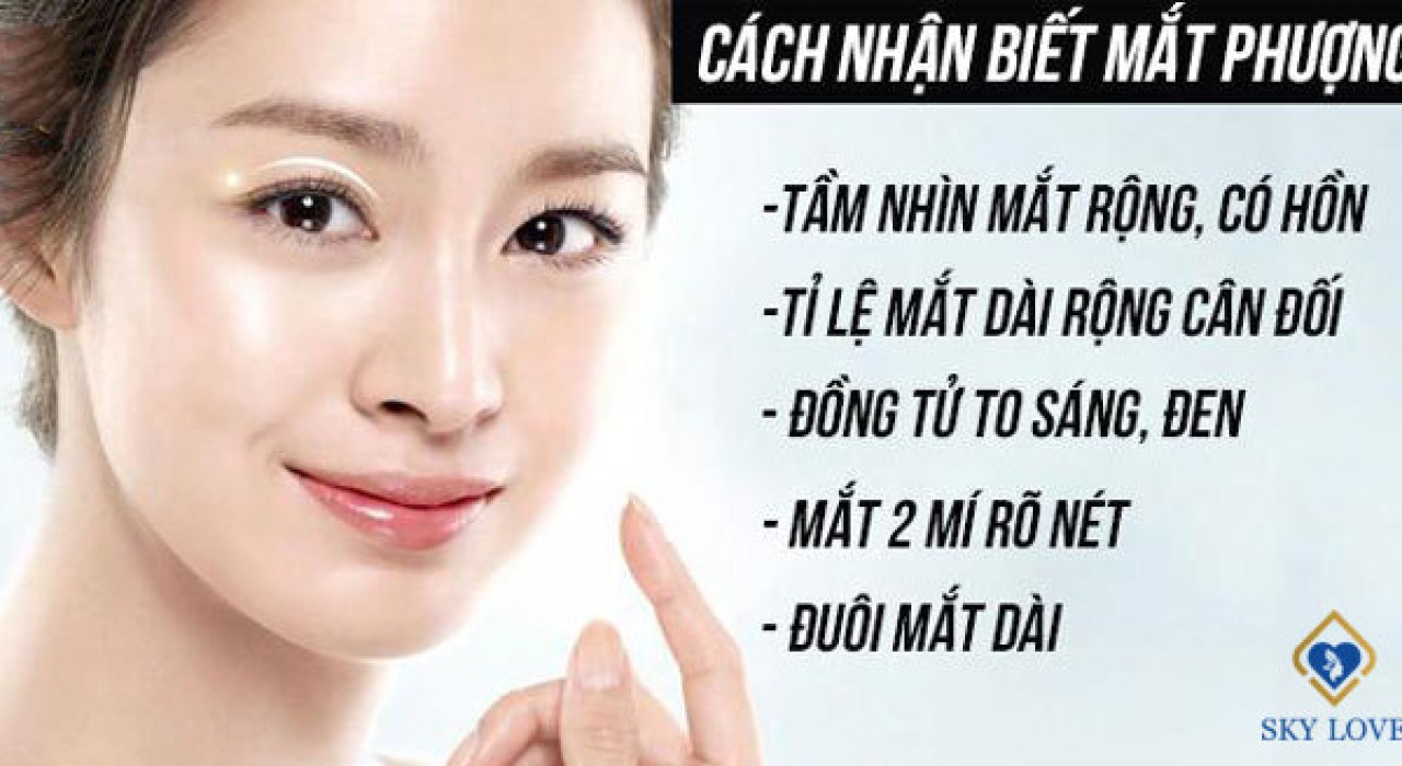 Mắt Phượng – Sở hữu đôi mắt đẹp rực rỡ